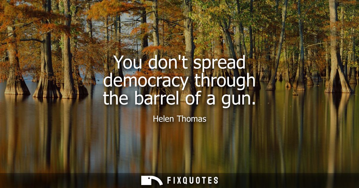 You dont spread democracy through the barrel of a gun