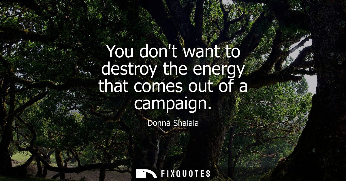 You dont want to destroy the energy that comes out of a campaign