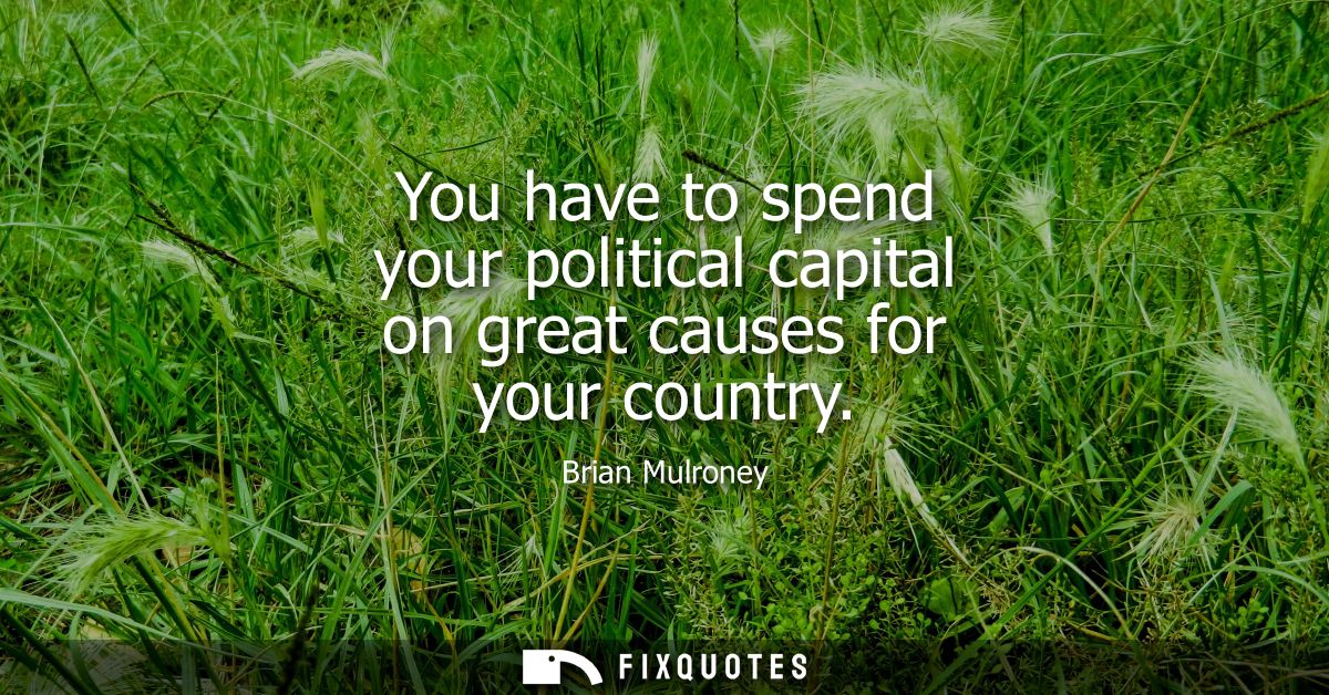 You have to spend your political capital on great causes for your country