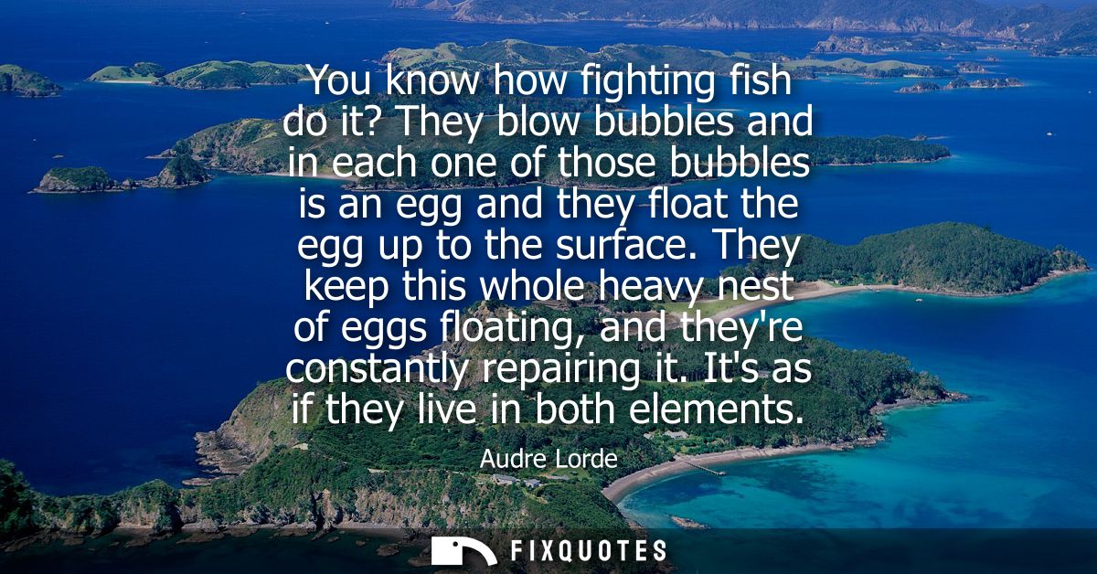 You know how fighting fish do it? They blow bubbles and in each one of those bubbles is an egg and they float the egg up