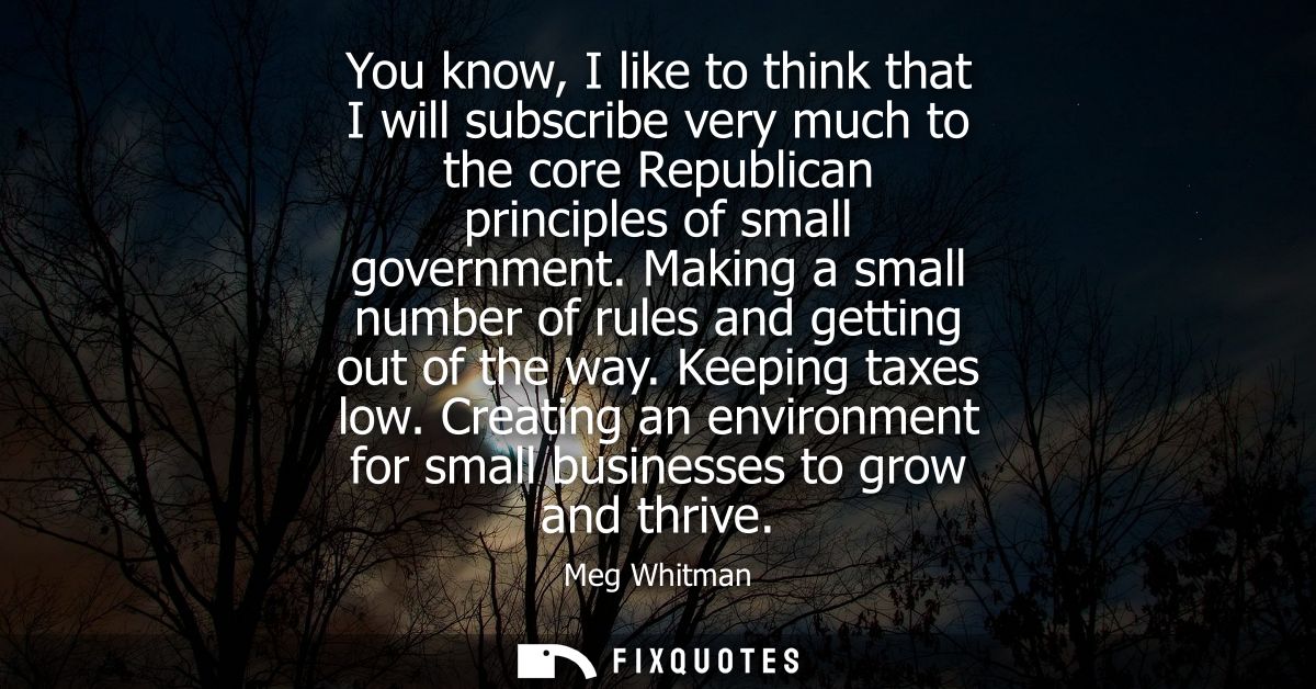 You know, I like to think that I will subscribe very much to the core Republican principles of small government.