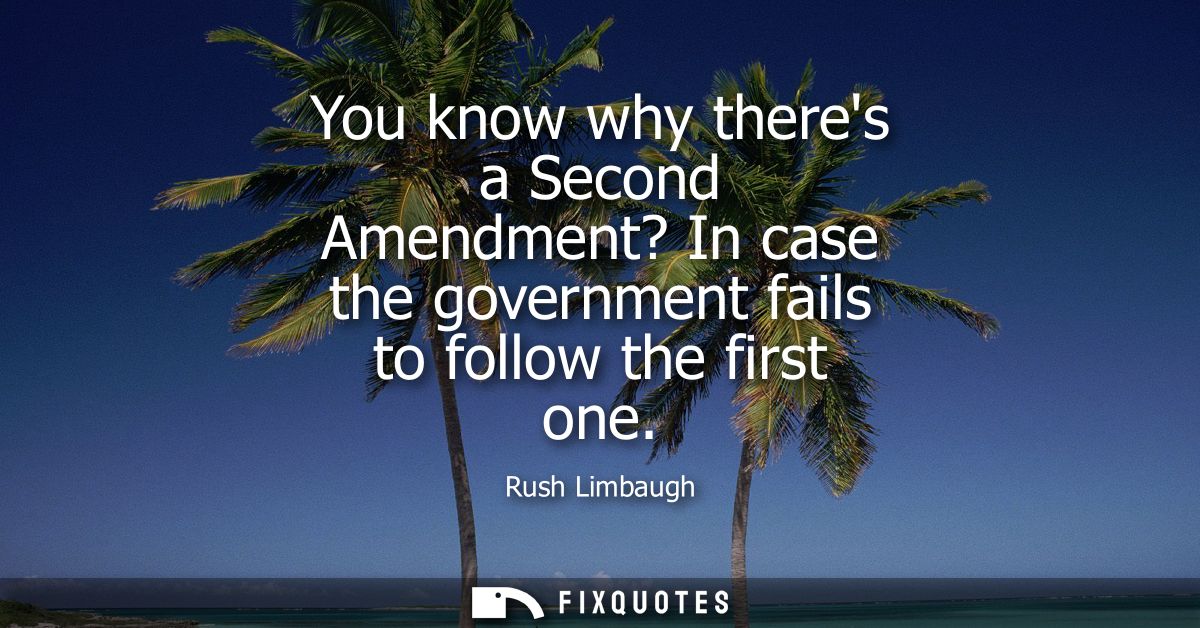 You know why theres a Second Amendment? In case the government fails to follow the first one