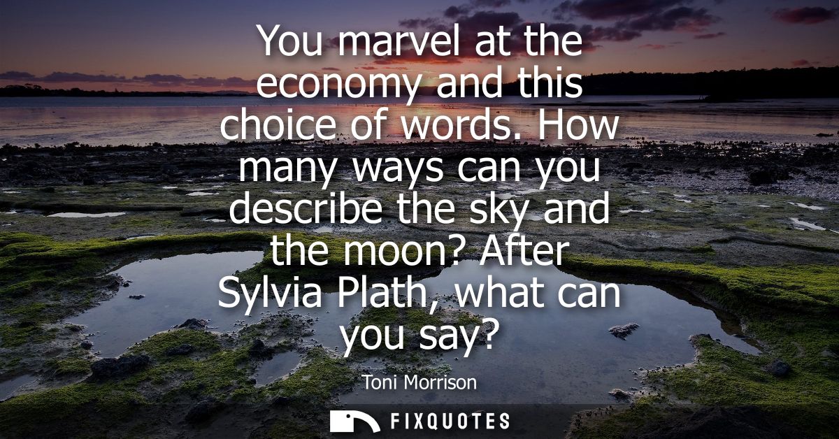 You marvel at the economy and this choice of words. How many ways can you describe the sky and the moon? After Sylvia Pl