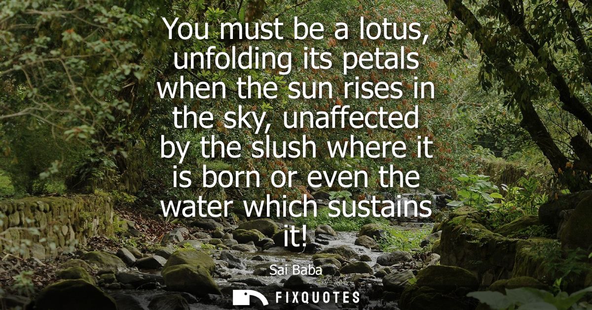You must be a lotus, unfolding its petals when the sun rises in the sky, unaffected by the slush where it is born or eve