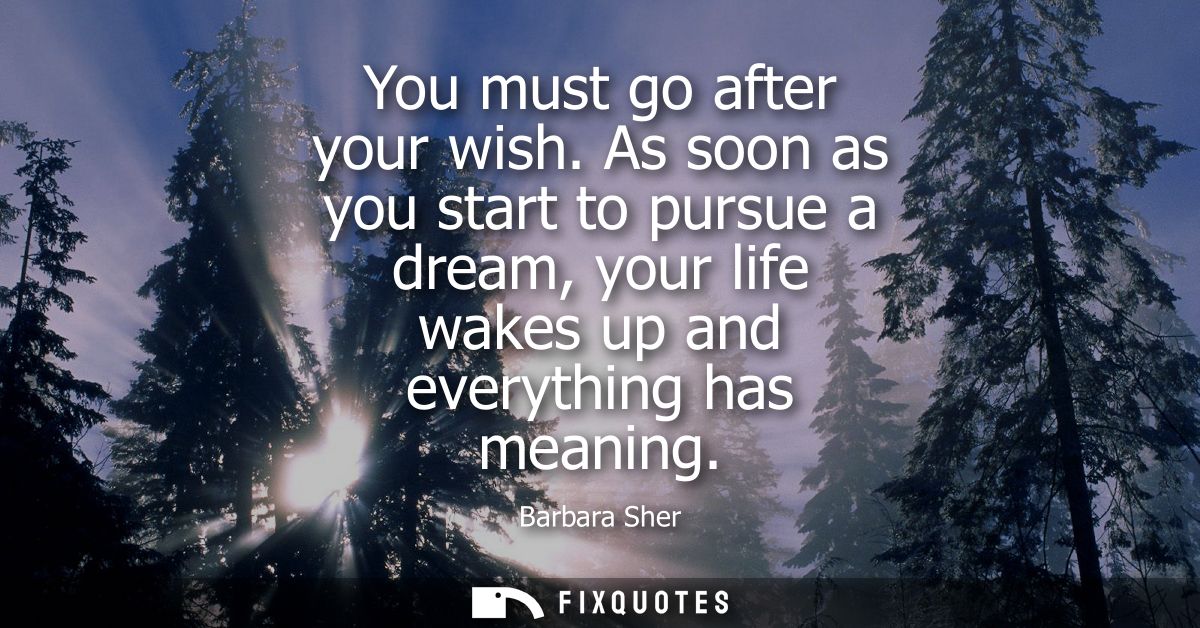 You must go after your wish. As soon as you start to pursue a dream, your life wakes up and everything has meaning