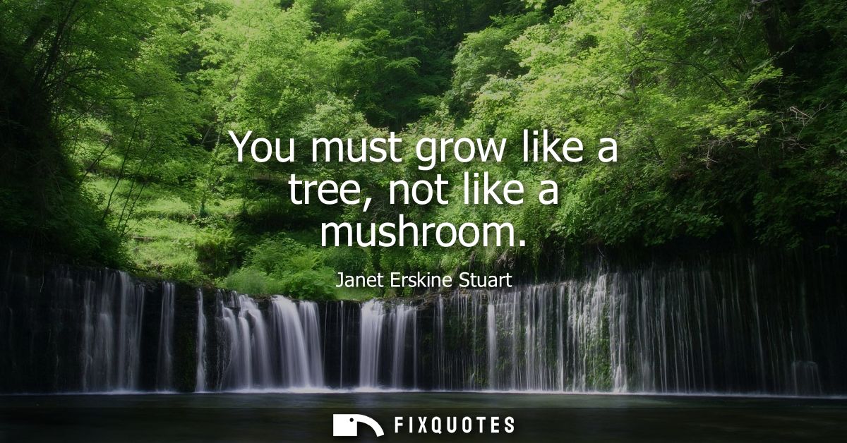 You must grow like a tree, not like a mushroom