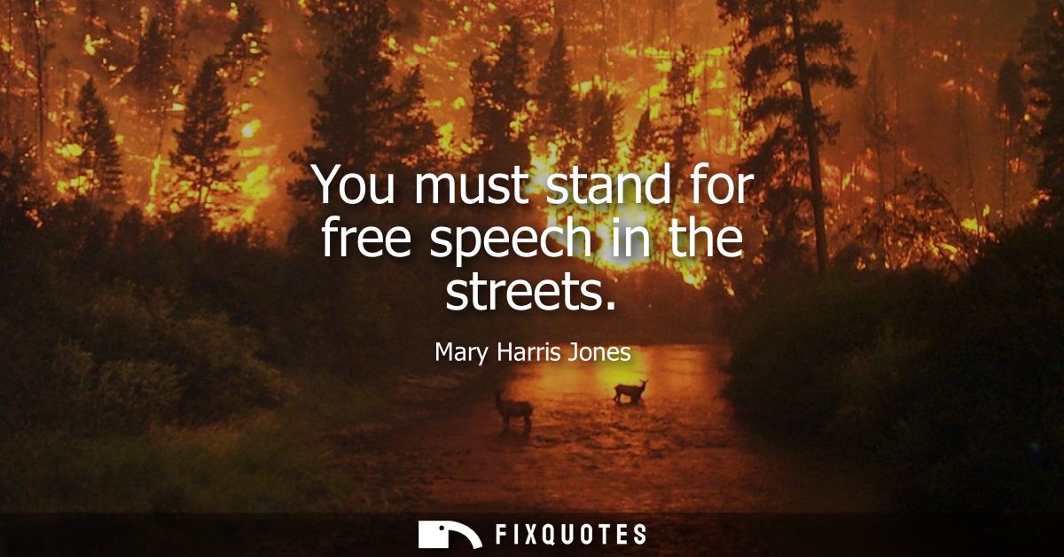 You must stand for free speech in the streets