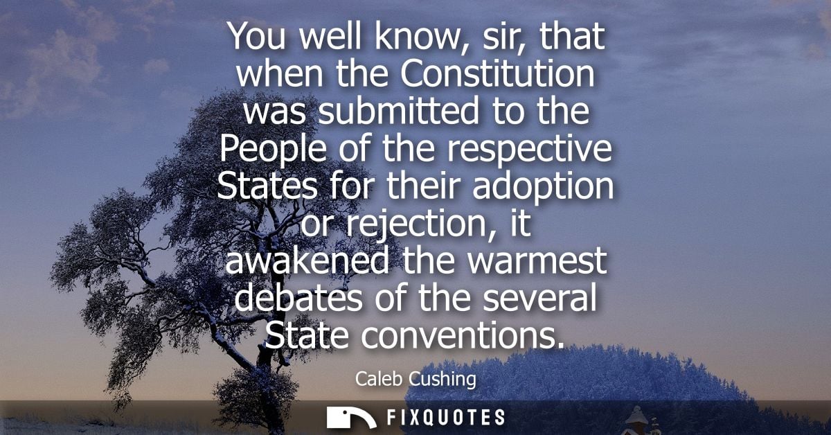 You well know, sir, that when the Constitution was submitted to the People of the respective States for their adoption o