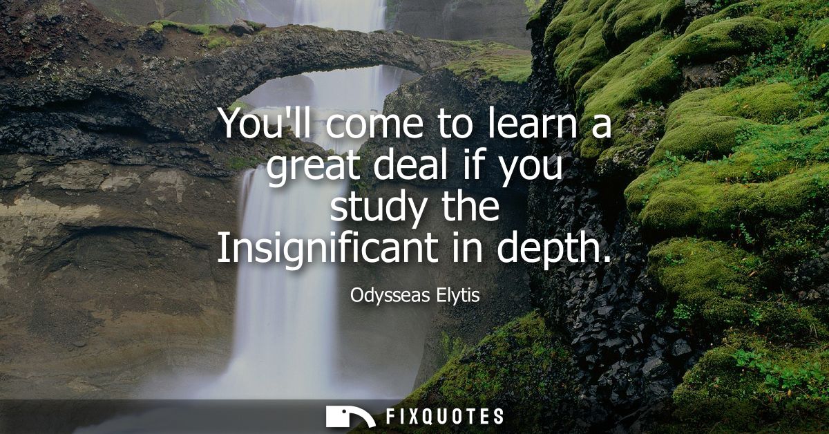 Youll come to learn a great deal if you study the Insignificant in depth