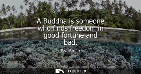 Small: Bodhidharma: A Buddha is someone who finds freedom in good fortune and bad