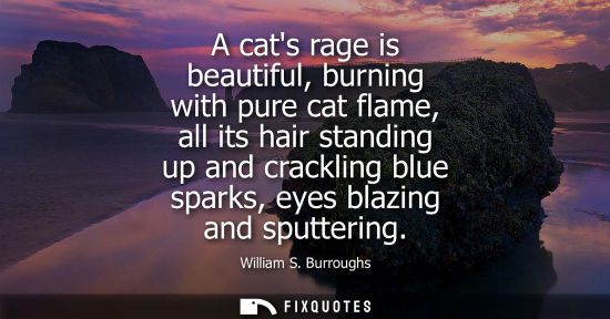 Small: A cats rage is beautiful, burning with pure cat flame, all its hair standing up and crackling blue spar