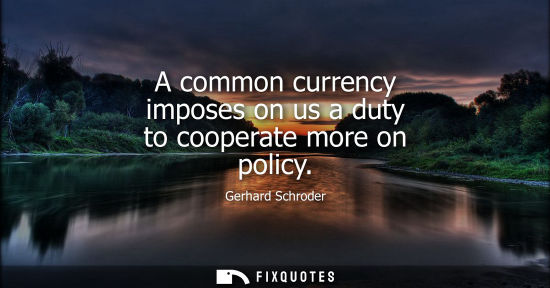 Small: A common currency imposes on us a duty to cooperate more on policy
