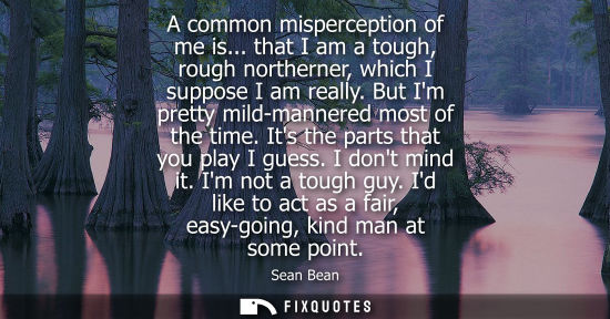 Small: A common misperception of me is... that I am a tough, rough northerner, which I suppose I am really. Bu