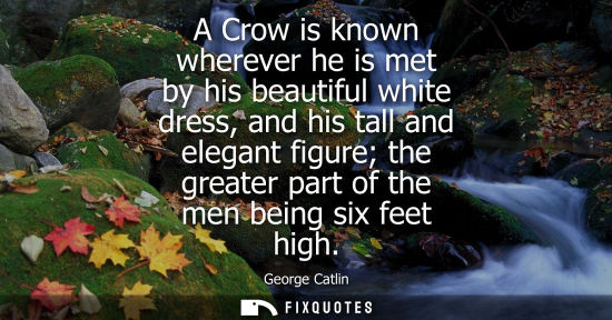 Small: A Crow is known wherever he is met by his beautiful white dress, and his tall and elegant figure the gr