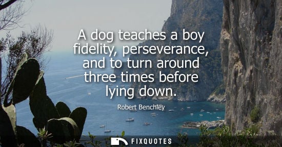 Small: A dog teaches a boy fidelity, perseverance, and to turn around three times before lying down