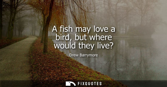 Small: A fish may love a bird, but where would they live? - Drew Barrymore
