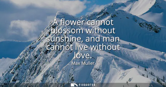 Small: A flower cannot blossom without sunshine, and man cannot live without love