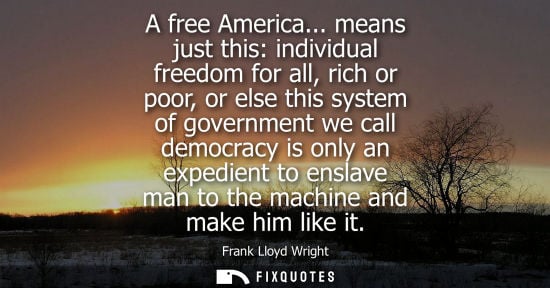 Small: A free America... means just this: individual freedom for all, rich or poor, or else this system of gov
