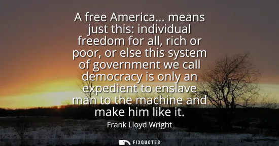 Small: A free America... means just this: individual freedom for all, rich or poor, or else this system of government