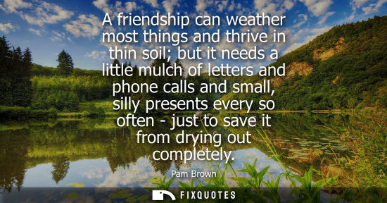 Small: Pam Brown: A friendship can weather most things and thrive in thin soil but it needs a little mulch of letters