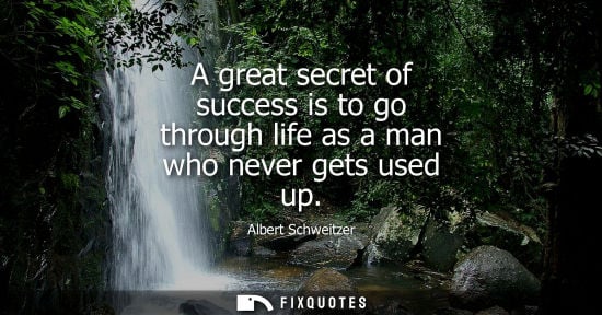 Small: Albert Schweitzer - A great secret of success is to go through life as a man who never gets used up