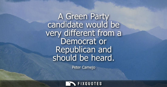 Small: A Green Party candidate would be very different from a Democrat or Republican and should be heard