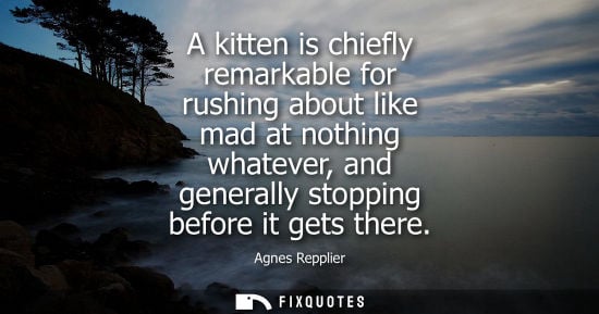 Small: A kitten is chiefly remarkable for rushing about like mad at nothing whatever, and generally stopping before i