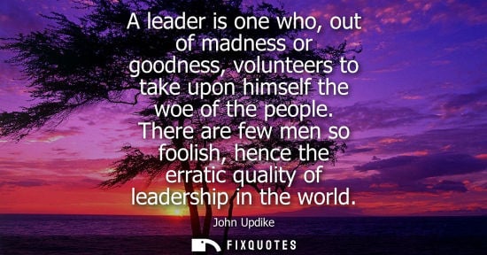 Small: A leader is one who, out of madness or goodness, volunteers to take upon himself the woe of the people.