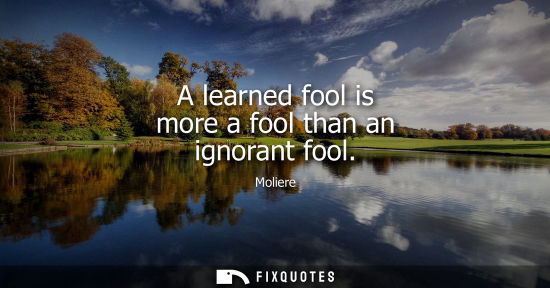 Small: A learned fool is more a fool than an ignorant fool