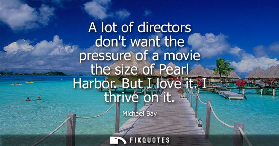 Small: Michael Bay: A lot of directors dont want the pressure of a movie the size of Pearl Harbor. But I love it. I t