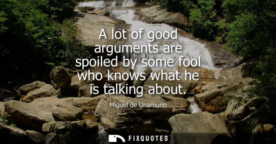 Small: A lot of good arguments are spoiled by some fool who knows what he is talking about