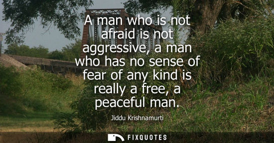 Small: A man who is not afraid is not aggressive, a man who has no sense of fear of any kind is really a free,