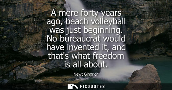 Small: A mere forty years ago, beach volleyball was just beginning. No bureaucrat would have invented it, and 