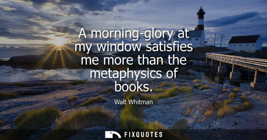 Small: A morning-glory at my window satisfies me more than the metaphysics of books