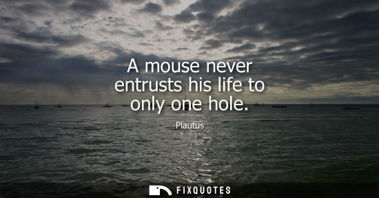 Small: A mouse never entrusts his life to only one hole