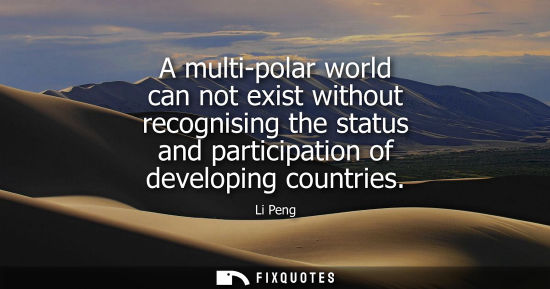 Small: A multi-polar world can not exist without recognising the status and participation of developing countr