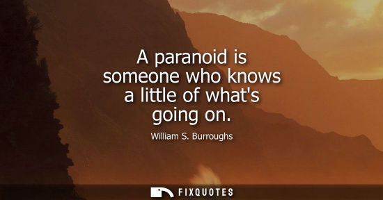 Small: A paranoid is someone who knows a little of whats going on