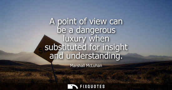 Small: A point of view can be a dangerous luxury when substituted for insight and understanding