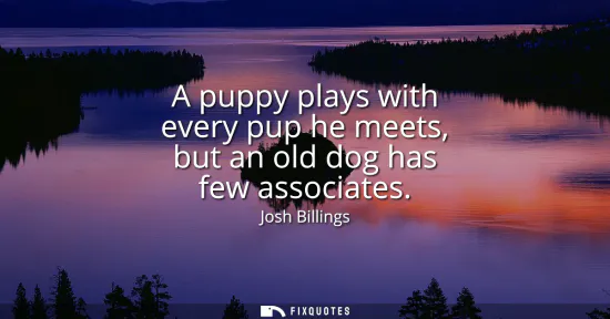 Small: A puppy plays with every pup he meets, but an old dog has few associates