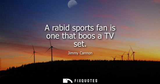 Small: A rabid sports fan is one that boos a TV set
