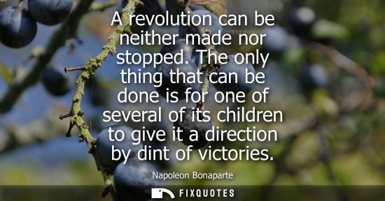 Small: A revolution can be neither made nor stopped. The only thing that can be done is for one of several of its chi
