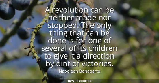 Small: A revolution can be neither made nor stopped. The only thing that can be done is for one of several of its chi