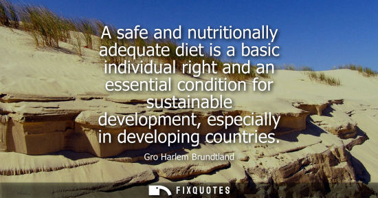 Small: A safe and nutritionally adequate diet is a basic individual right and an essential condition for susta