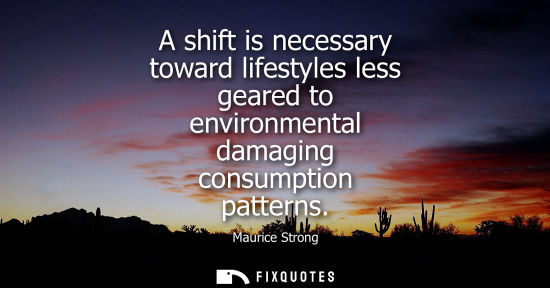 Small: A shift is necessary toward lifestyles less geared to environmental damaging consumption patterns