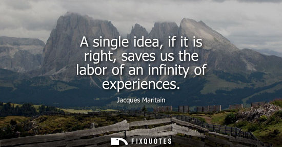 Small: A single idea, if it is right, saves us the labor of an infinity of experiences
