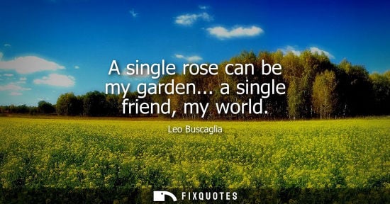 Small: A single rose can be my garden... a single friend, my world - Leo Buscaglia