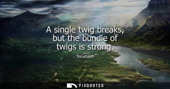 Small: Tecumseh: A single twig breaks, but the bundle of twigs is strong