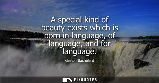Small: A special kind of beauty exists which is born in language, of language, and for language