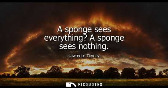 Small: A sponge sees everything? A sponge sees nothing