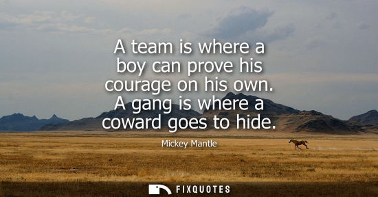 Small: A team is where a boy can prove his courage on his own. A gang is where a coward goes to hide